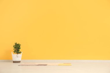 Sarı duvarın yanındaki boş odada bitki ve halı.