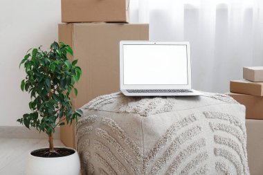 Boş dizüstü bilgisayar, içinde bitki ve taşınan kutular var.