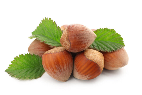 Шелковистые орехи с листьями на белом фоне