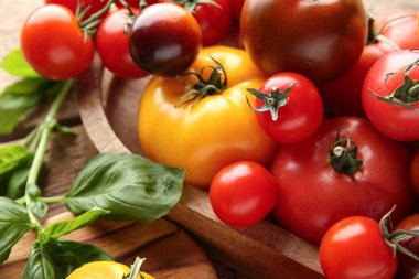 Ahşap arka planda domates ve fesleğen filizi. Yakın çekim.