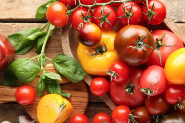 Ahşap arka planda domates ve fesleğen filizi. Yakın çekim.