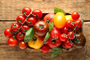 Ahşap arka planda domatesli tepsi. Yakın çekim.