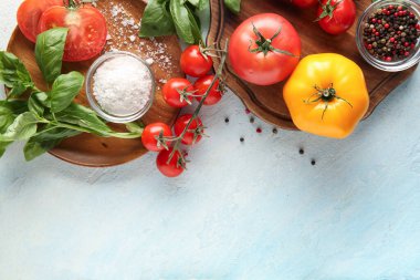 Açık mavi arka planda tuz, biber ve fesleğen filizli domatesler. Yakın çekim.
