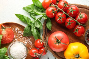 Tuzlu domatesler ve beyaz arka planda fesleğen filizi. Yakın çekim.