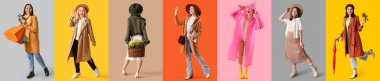 Set of fashionable young women in autumn clothes on color background clipart