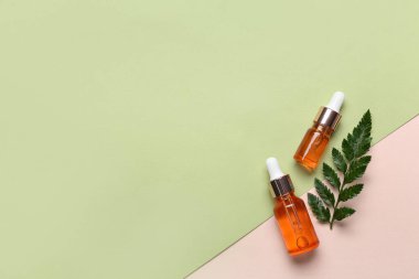 Renk arkaplanında bitki dalı olan kozmetik yağı şişeleri