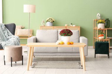 Kahve masasında gri kanepe ve kasımpatı çiçekleri olan modern bir oda.