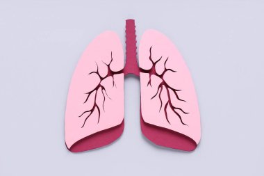 Işık arkaplanındaki kağıt ciğerler