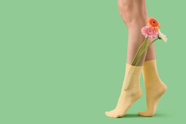 Yeşil arka planda çoraplı Gerbera çiçekli kadın.