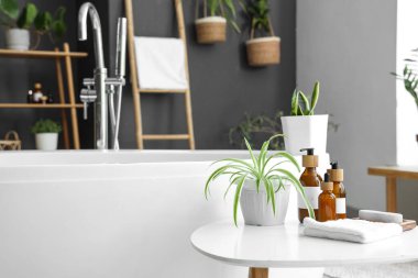 Küvet, modern banyoda ev bitkileri ve kozmetik ürünlerle dolu bir masa.