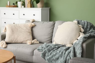 Gri kanepeli, ekoseli, yumuşak yastıklı ve çekmeceli şık bir oturma odası.