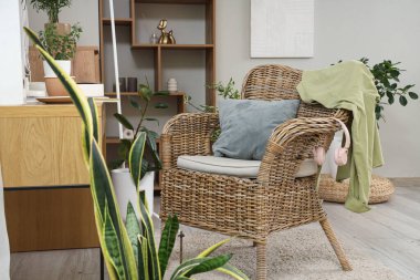 Hasır koltuklu, masalı ve bitkilerli hafif ofisin içi