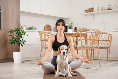Sevimli Beagle köpeği olan genç bir kadın mutfakta yoga minderi üzerinde meditasyon yapıyor.