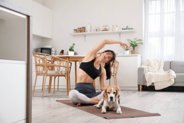 Sevimli Beagle köpeği olan güzel genç bir kadın mutfakta yoga yapıyor.