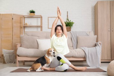 Sevimli Beagle köpeği olan genç bir kadın oturma odasında yoga yapıyor.