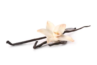 Güzel vanilya çiçeği ve beyaz arka planda çubuklar