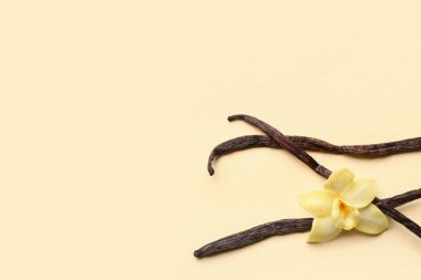 Güzel sarı vanilya çiçeği ve bej arka planda çubuklar