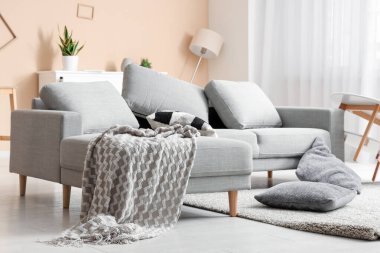 Kanepesi ve yastığı halıda olan dağınık bir oturma odası.