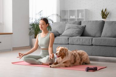 Avustralyalı çoban köpeği olan genç bir kadın oturma odasında yoga yapıyor.