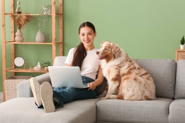 Kanepede dizüstü bilgisayar kullanan genç bir kadın ve oturma odasında sevimli bir çoban köpeği var.