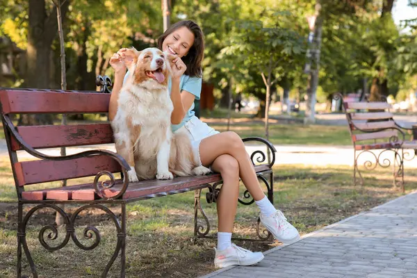 Parkta bankta oturan sevimli Avustralya çoban köpeği olan güzel genç bir kadın.