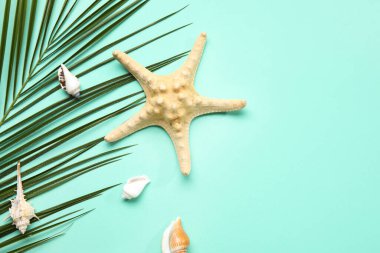 Palmiye yaprağı, deniz yıldızı ve deniz kabukları ile renk arkaplanı bileşimi