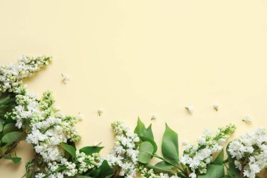 Bej arka planda çiçek açan leylak çiçekleri