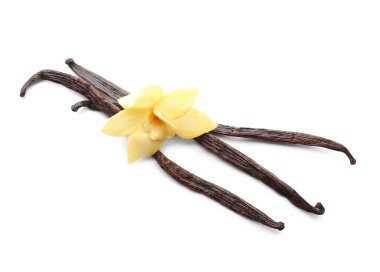 Güzel sarı vanilya çiçeği ve beyaz arka planda çubuklar.