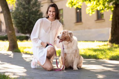 Parkta oturan şirin Avustralyalı çoban köpeği.