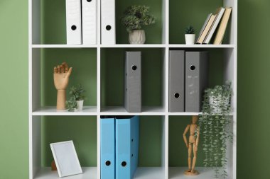 Yeşil duvarın yanında doküman dizinleri ve bitkileri olan raf ünitesi