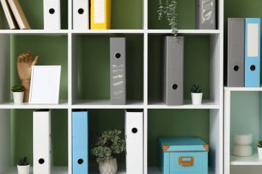 Yeşil duvarın yanında doküman dizinleri ve bitkileri olan raf ünitesi