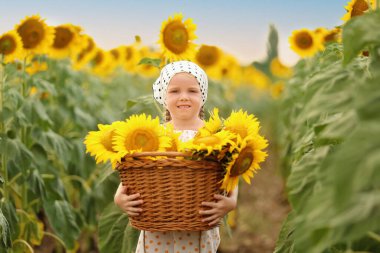 Tarlada ayçiçekleri olan hasır sepeti tutan tatlı küçük kız.