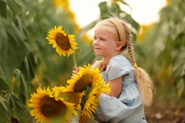 Tarlada ayçiçekleri olan tatlı küçük kız.