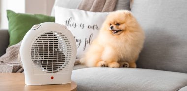 Evdeki elektrikli vantilatör ısıtıcısının yanındaki koltukta tatlı Pomeranya salyası.