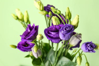 Yeşil arka planda Eustoma çiçekleri