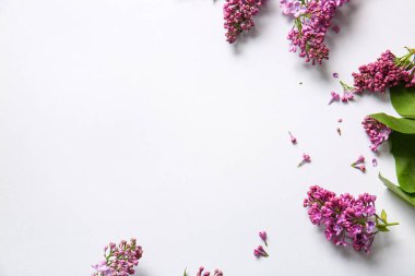 Gri arka planda çiçek açan leylak çiçekleri