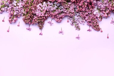 Renkli arkaplanda leylak çiçekleri