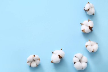 Mavi arkaplanda pamuk çiçeklerinden yapılmış çerçeve