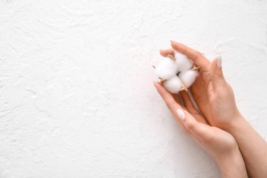 Beyaz grunge arka planda pamuk çiçekli kadın elleri