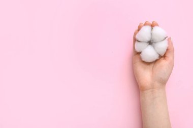 Pembe arka planda pamuk çiçekli kadın eli