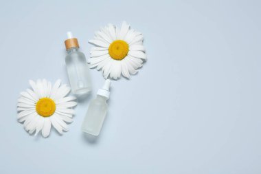 Şişe esans ve beyaz arka plan üzerinde papatya çiçeği