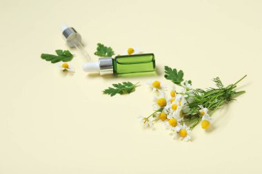 Gerekli yağ şişesiyle kompozisyon, taze papatyalar ve renk arkaplan yaprakları