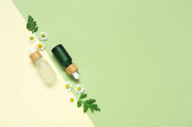 İçinde yağ şişeleri, güzel papatya çiçekleri ve renkli yapraklar olan kompozisyon