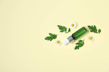 Gerekli yağ şişesi, taze papatya çiçekleri ve renk arkaplan yapraklarıyla kompozisyon
