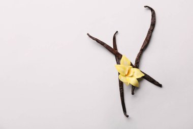 Güzel vanilya çiçek ve gri arka plan üzerinde sopa