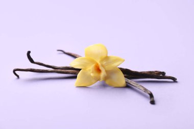 Güzel vanilya çiçeği ve leylak arkaplanına yapışmış çubuklar