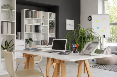 Modern dizüstü bilgisayarı, ev bitkisi ve raf ünitesi olan işyeri şık bir ofiste.