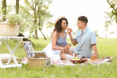 Parkta romantik piknikte şarap ve hamur işi içen genç ve güzel bir çift.