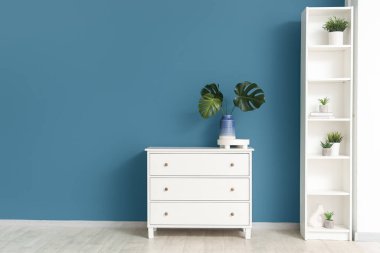 Mavi duvarın yanındaki çekmecelerde canavar yaprakları olan vazo.