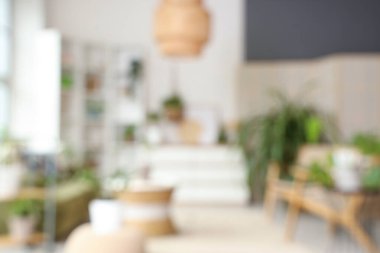 Çiçekleri, yeşil kanepesi ve koltukları olan bulanık bir oturma odası.